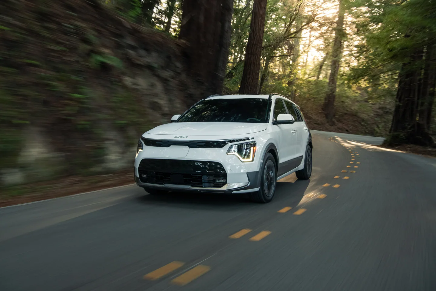 Kia Niro EV — foto 4